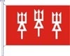 District Commander's Flag